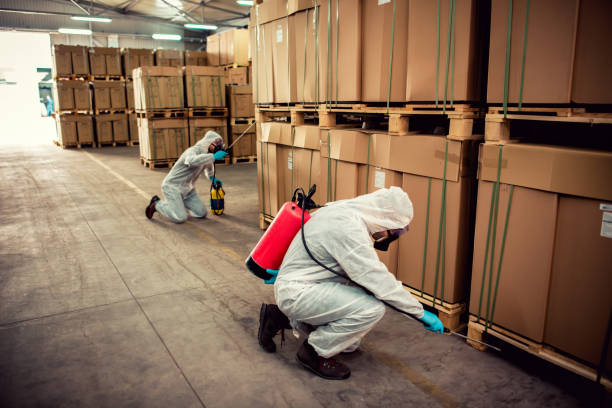 Best Cockroach Control Services  in Madisonville, TN