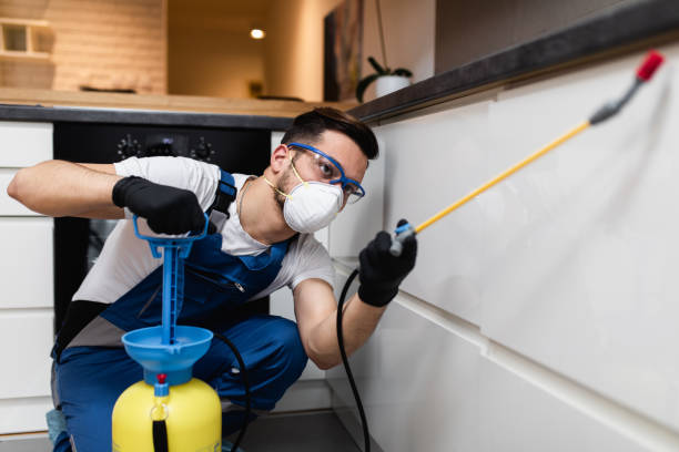 Best Ant Control Services  in Madisonville, TN
