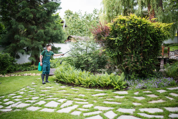 Best Ant Control Services  in Madisonville, TN