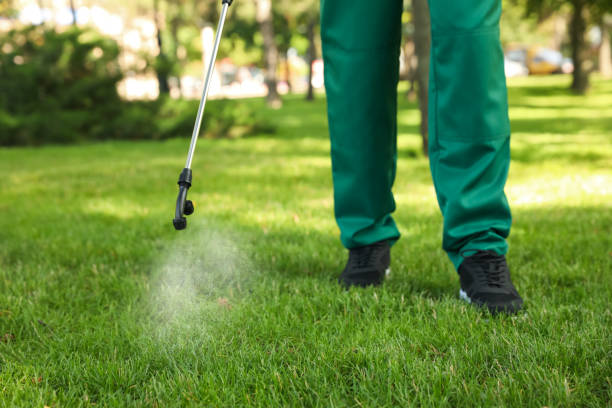 Best Bed Bug Extermination  in Madisonville, TN