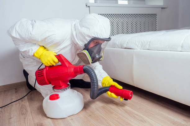 Wasp Removal Services in Madisonville, TN