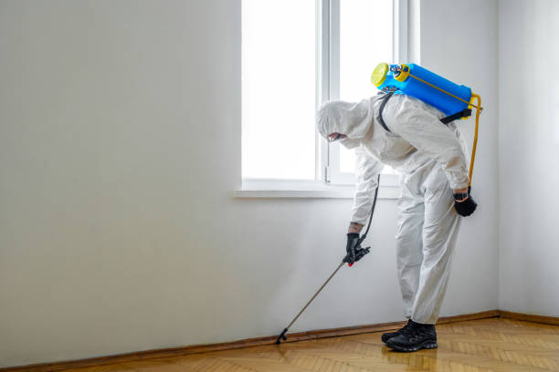 Best Pest Control Near Me  in Madisonville, TN