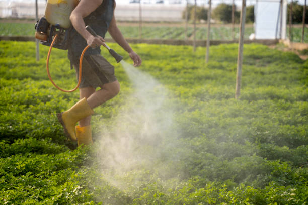 Best Best Pest Control Companies  in Madisonville, TN