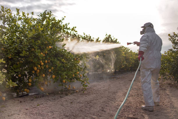 Best Local Pest Control Services  in Madisonville, TN