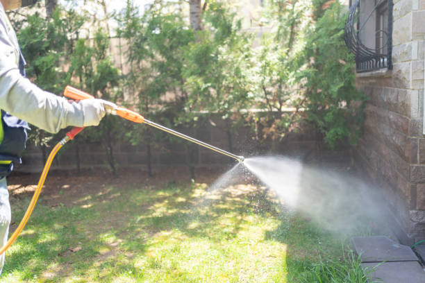 Best Emergency Pest Control  in Madisonville, TN