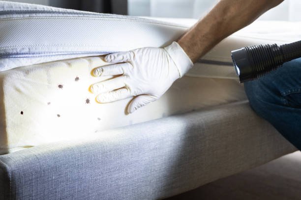 Best Pest Inspection Near Me  in Madisonville, TN