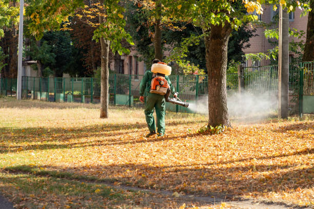 Best Pest Removal Services  in Madisonville, TN