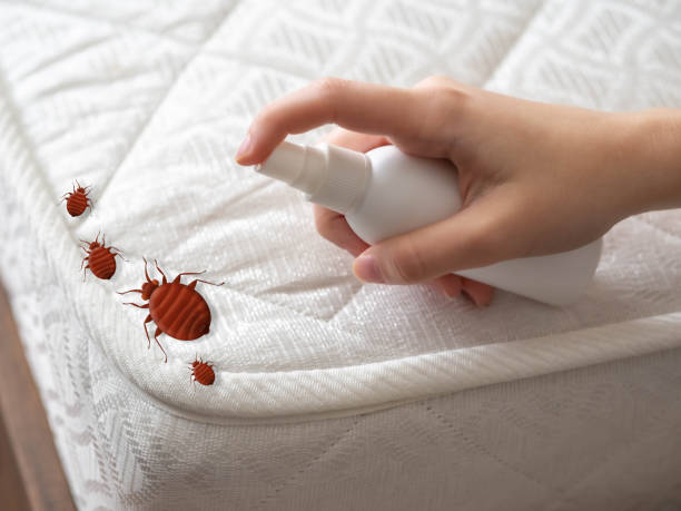 Best Best Pest Control Near Me  in Madisonville, TN
