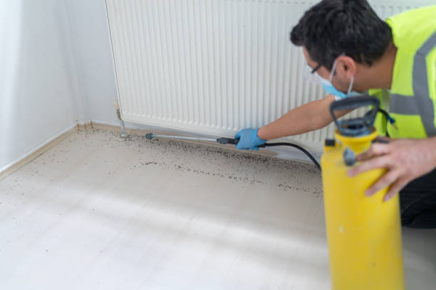 Best Affordable Pest Control Services  in Madisonville, TN