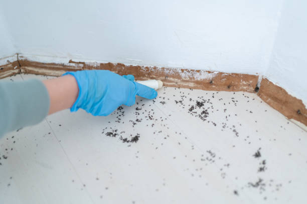Best Exterminator Services  in Madisonville, TN