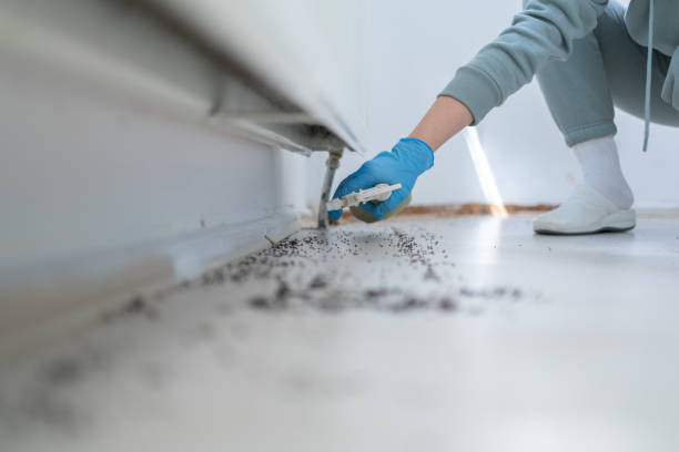 Best Local Pest Control Services  in Madisonville, TN