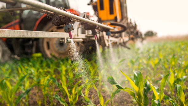 Best Mosquito Control Services  in Madisonville, TN