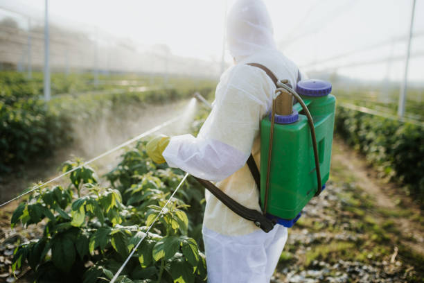 Flea Control Services in Madisonville, TN